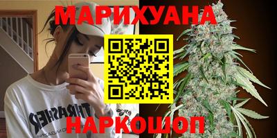 индика Мариинск