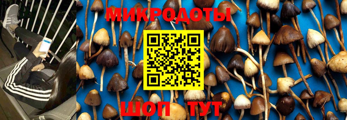 Псилоцибиновые грибы GOLDEN TEACHER Альметьевск